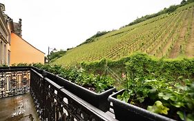 Alte Stadtvilla Am Weinberg 3